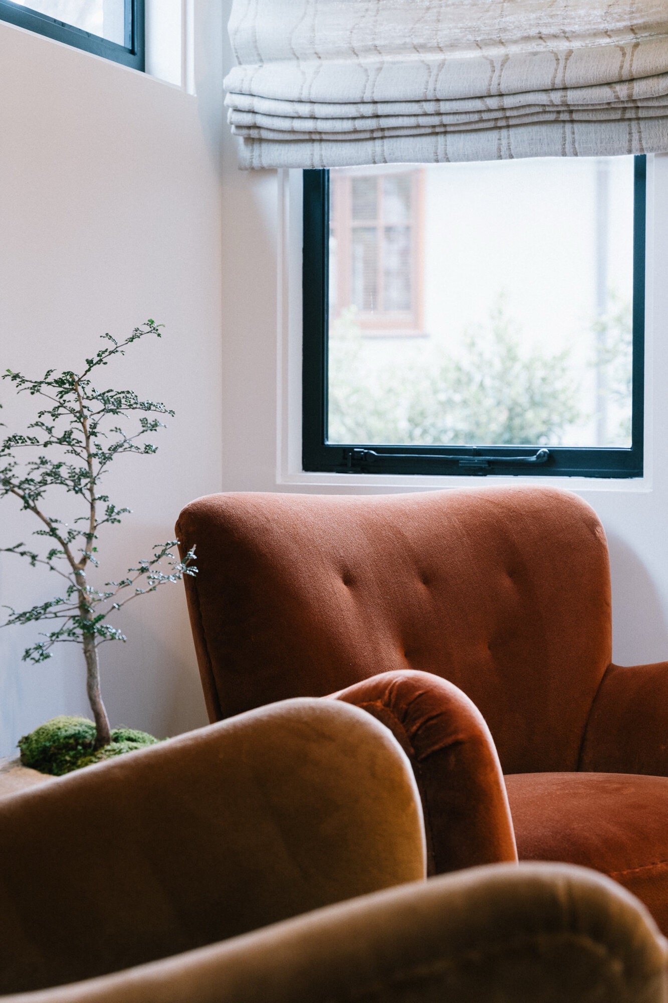 Velvet armchairs beside a steel-framed window